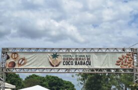 PROETNOS/UEMA presente no 1º Festival Estadual das Quebradeiras de Coco Babaçu