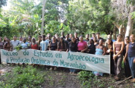 Estudantes da LEDOC compartilham experiências com integrantes do Núcleo de Agroecologia da UEMA